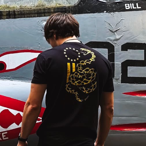 Back of black FAFO patriotic shirt — bold Gadsden snake over Betsy Ross flag second amendment shirt
