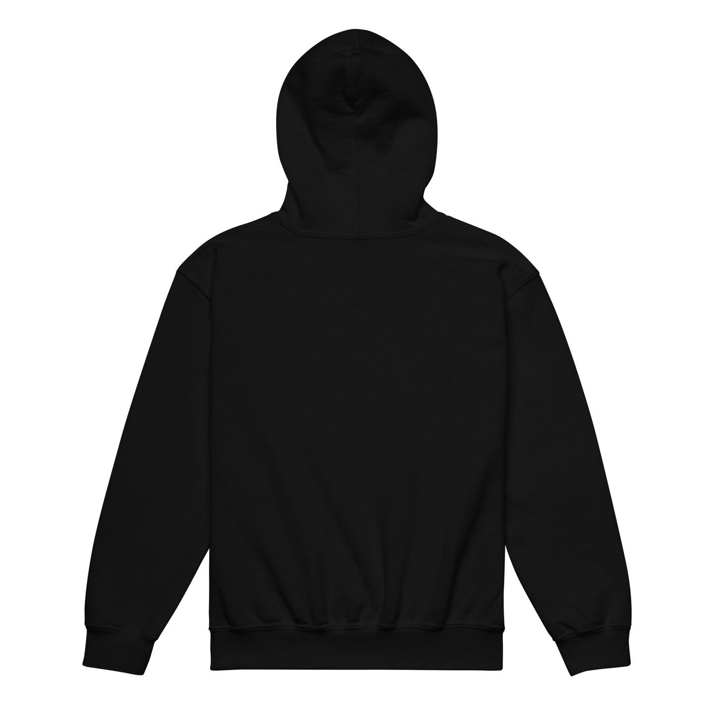 Back of black FAFO flag youth hoodie — patriotic kids hoodie FAFO apparel flag and family outfitters
