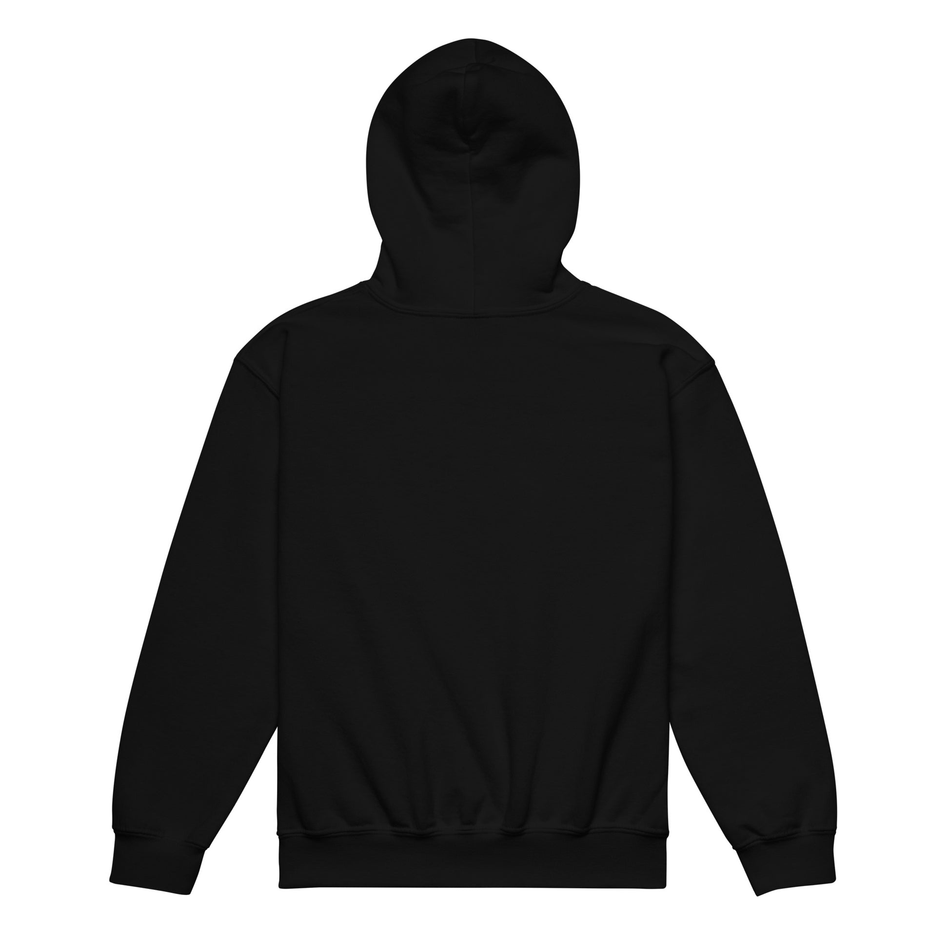 Back of black FAFO flag youth hoodie — patriotic kids hoodie FAFO apparel flag and family outfitters