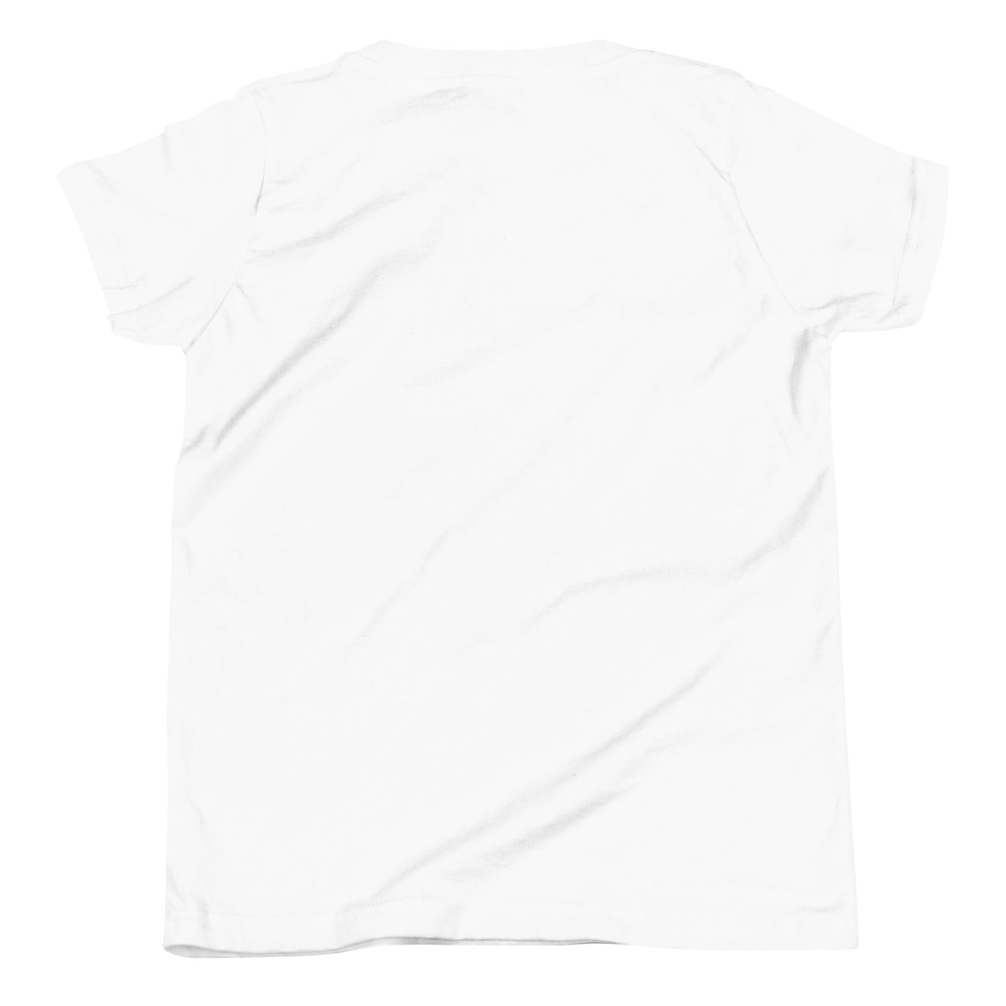 Back of white FAFO flag youth tee — patriotic kids shirt FAFO apparel flag and family outfitters