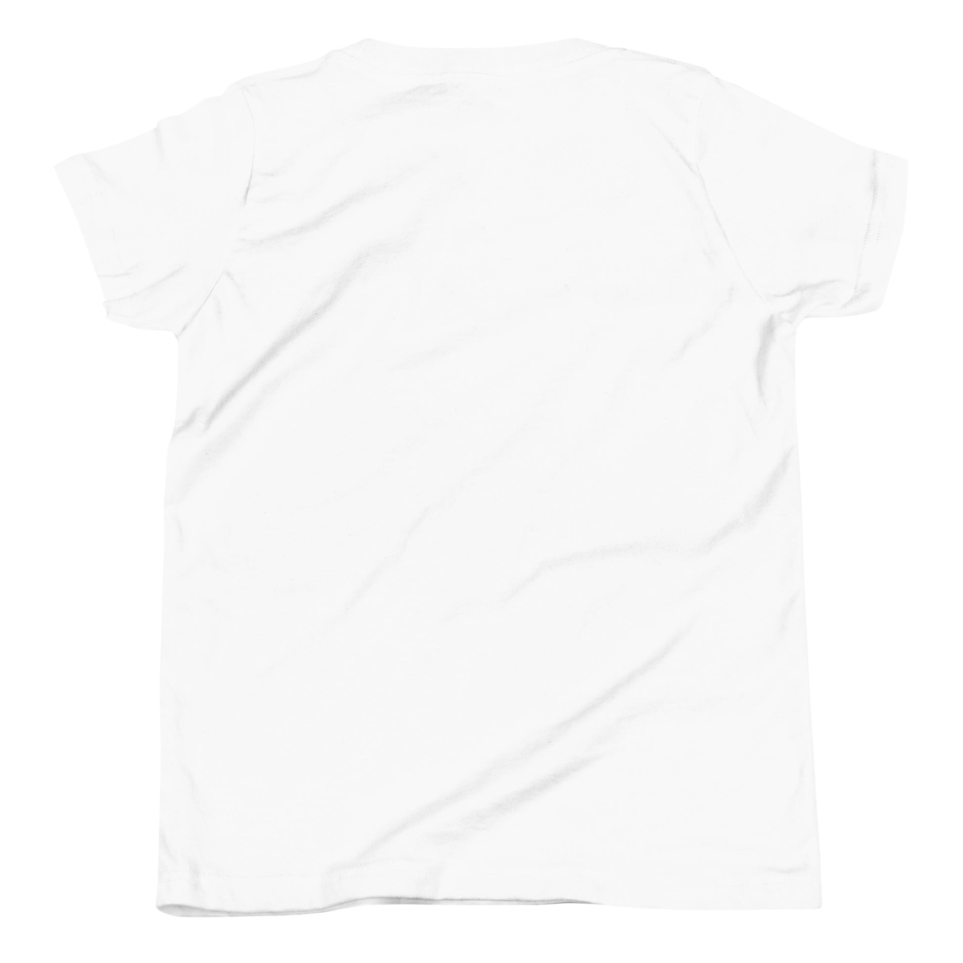 Back of white FAFO flag youth tee — patriotic kids shirt FAFO apparel flag and family outfitters